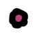 gentlepack-flower-icons-3